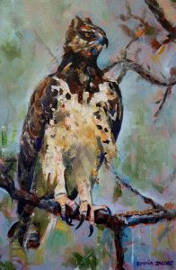Painting of a matial eagle with tallons resting on a branch
