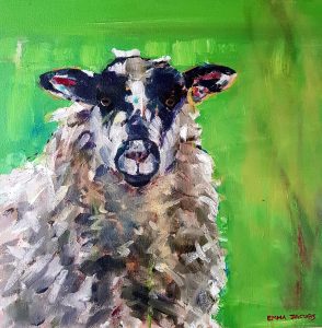 Cotswold sheep staring at the viewer in green field