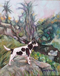 Pet portrait of a small black and white dog standing on a rock in a gorge