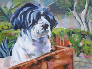 A pet protrait of a little dog call ed Rosie sitting in a box in the garden with a house in the backdrop