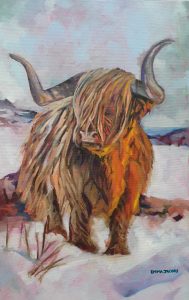 Portrait of Highland Bull named Seumus in a snowy field from the region around Inverness in Scotland