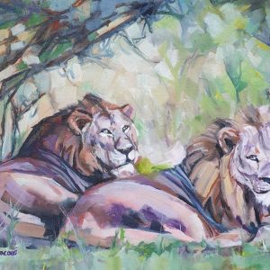 Painting of two male lions in the African bush