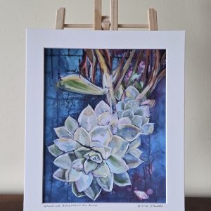 Hanging Succulent on Blue