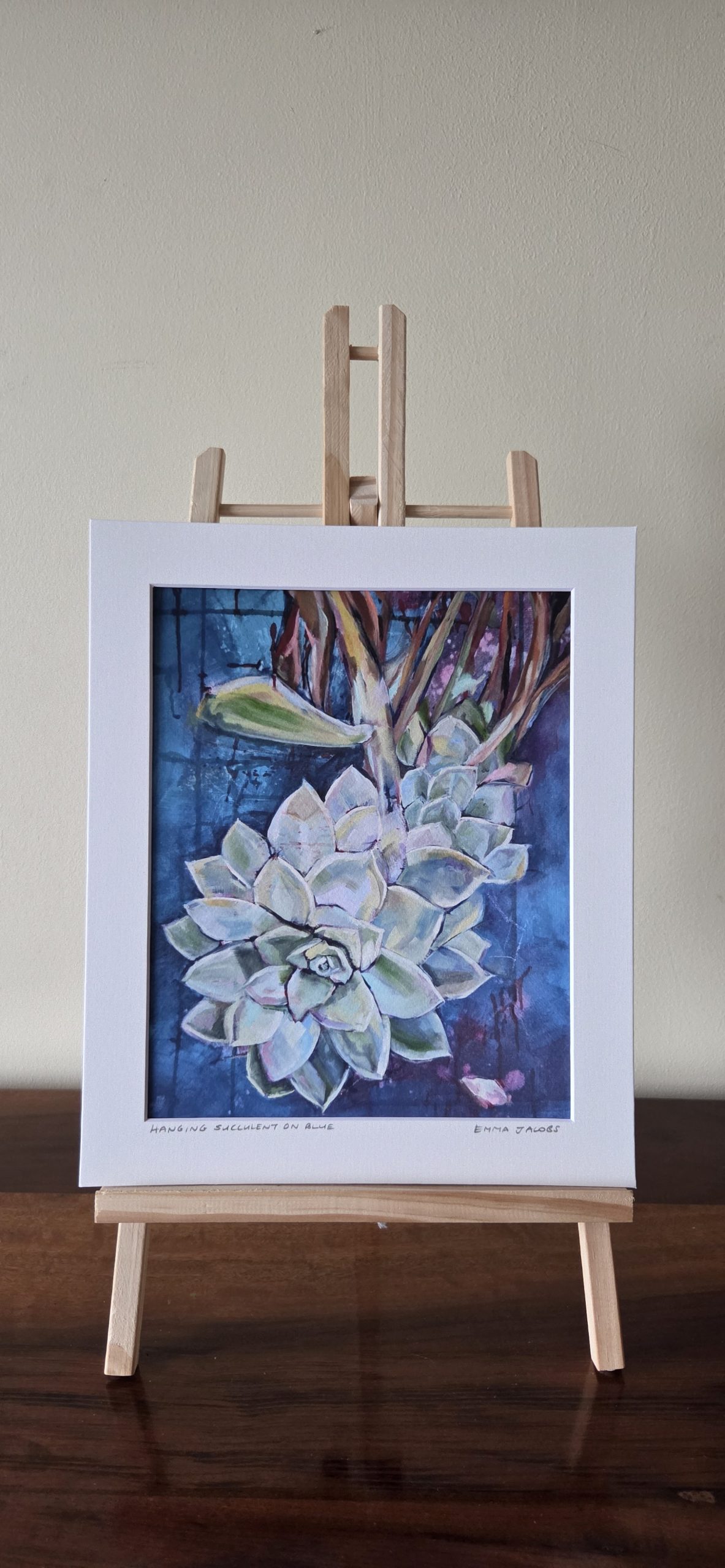 Hanging Succulent on Blue