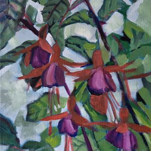 Flying Fuchsias