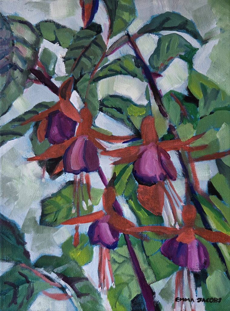 Flying Fuchsias