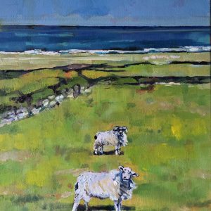 Kerry Sheep in the Wind