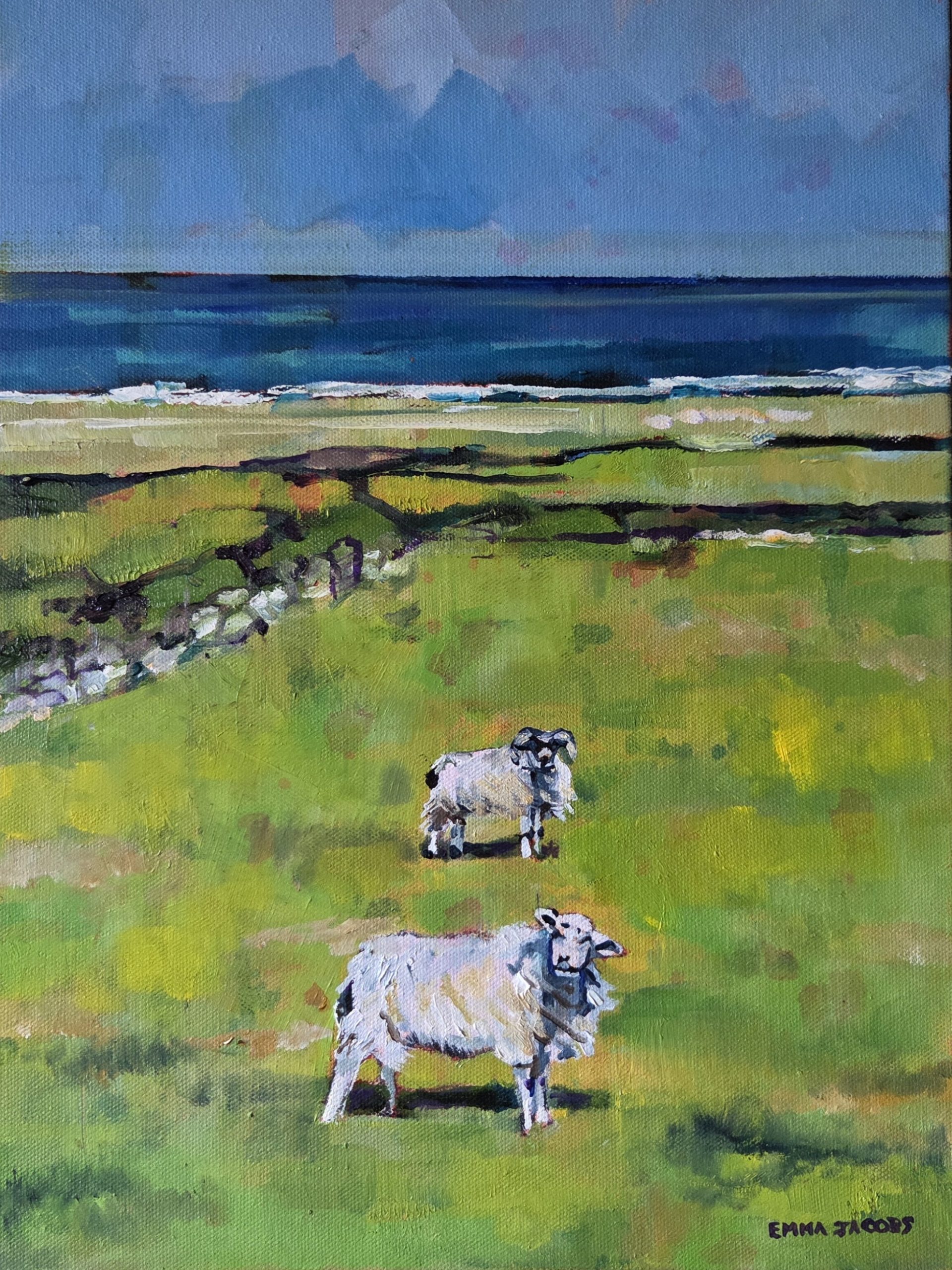 Kerry Sheep in the Wind